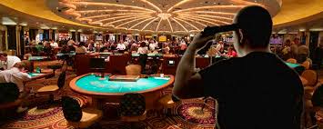 Bonsai Casino